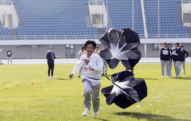 训项目成功