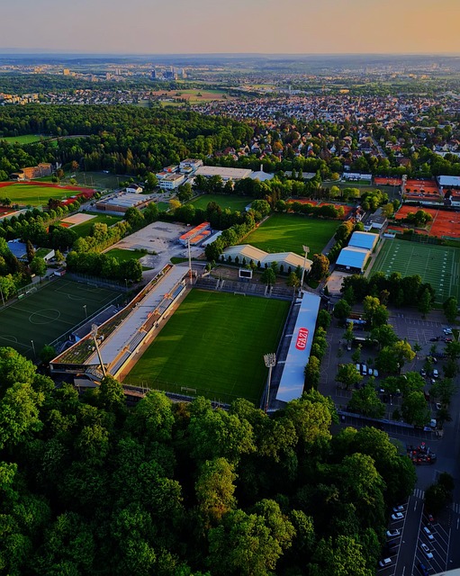 导与支持无 导与支持无