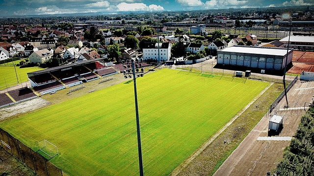 法律责任的 法律责任的