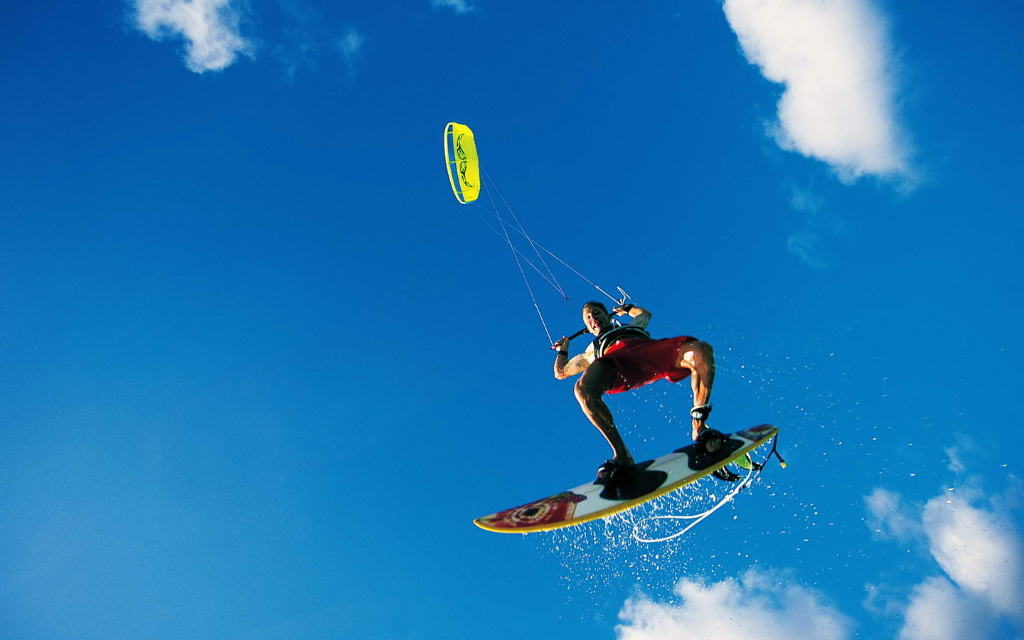 台也难以赢 台也难以赢